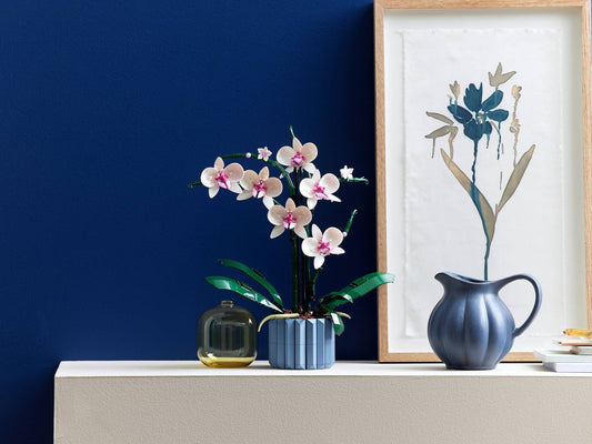 Win LEGO Botanicals Collection