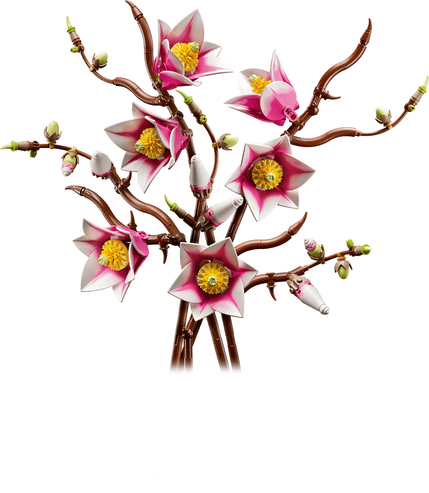 Win LEGO Botanicals Collection