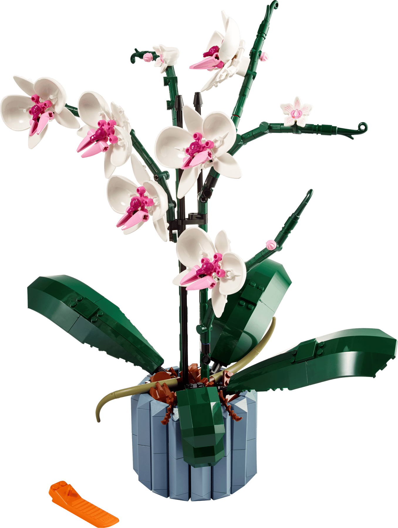 Win LEGO Botanicals Collection