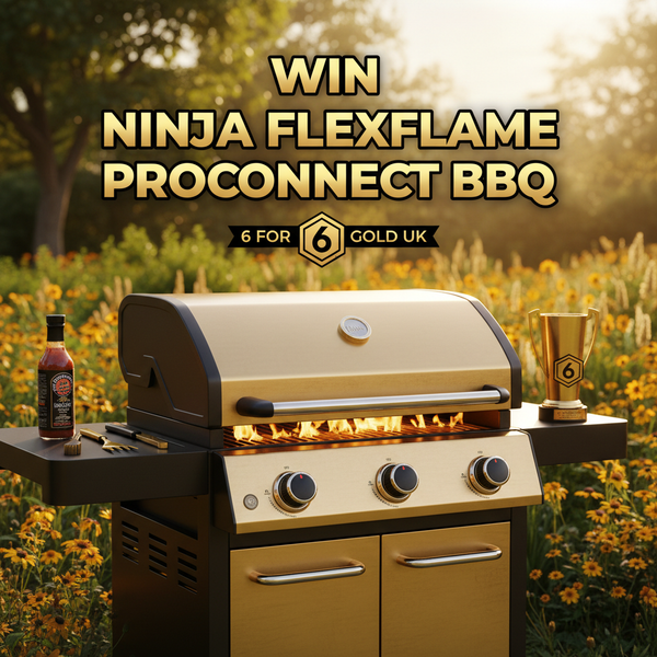 Win Ninja FlexFlame ProConnect Outdoor BBQ